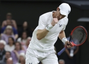 开云官方app入口-英国网球队轻取澳大利亚网球队，穆雷打破历史纪录的简单介绍