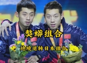 开云体育登录-奥地利乒乓球队鏖战瑞典乒乓球队，许昕绝境逆转的简单介绍