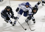 开云体育下载-蜂鸣不息，拉梅洛·鲍尔如何用稳定重新定义黄蜂的狂想曲