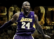 开云体育官方网站-绿茵与硬木的双重奏，当德甲争冠战遇见浙江队的生死逆袭