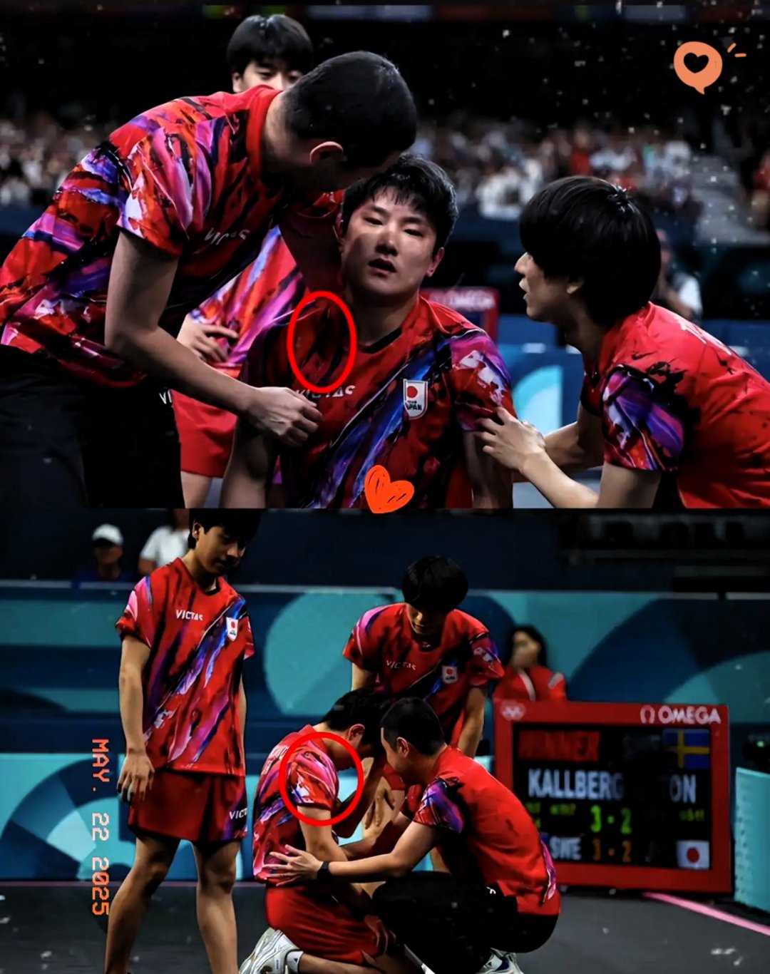 关于瑞典乒乓球队轻取中国乒乓球队,张本智和送出助攻的信息 关于瑞典乒乓球队轻取中国乒乓球队,张本智和送出助攻的信息