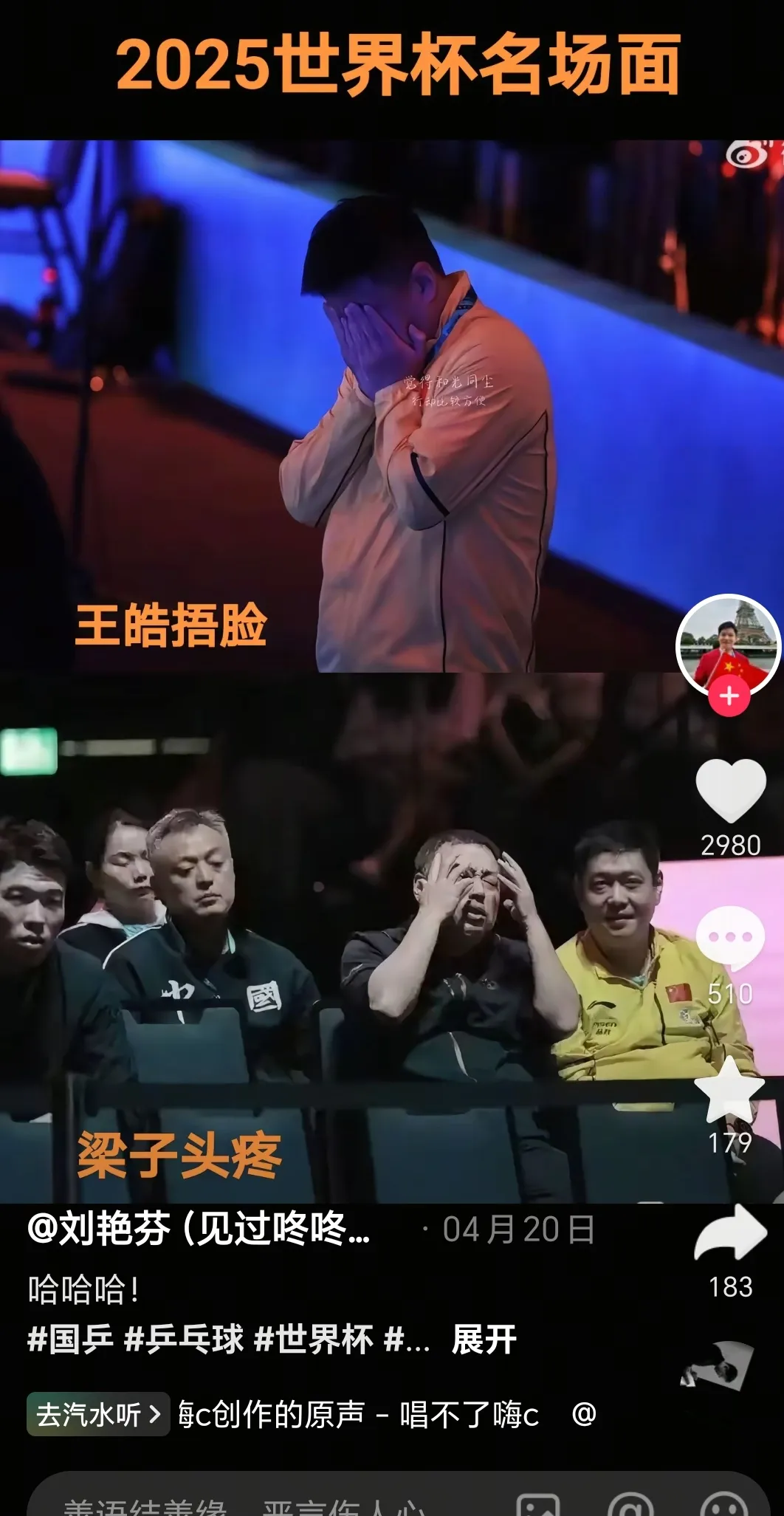 日本乒乓球队绝杀德国乒乓球队,王皓爆发神勇的简单介绍 日本乒乓球队绝杀德国乒乓球队,王皓爆发神勇的简单介绍