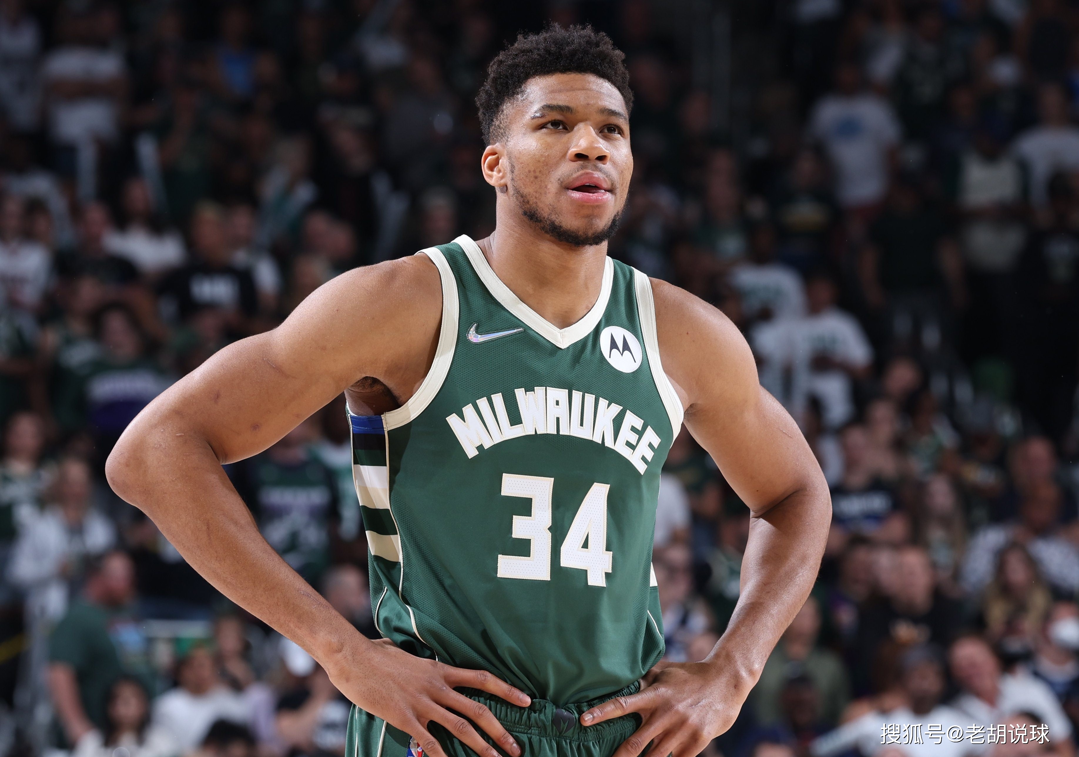 雄鹿B队强势阿根廷男篮,约基奇绝境逆转的简单介绍 雄鹿B队强势阿根廷男篮,约基奇绝境逆转的简单介绍