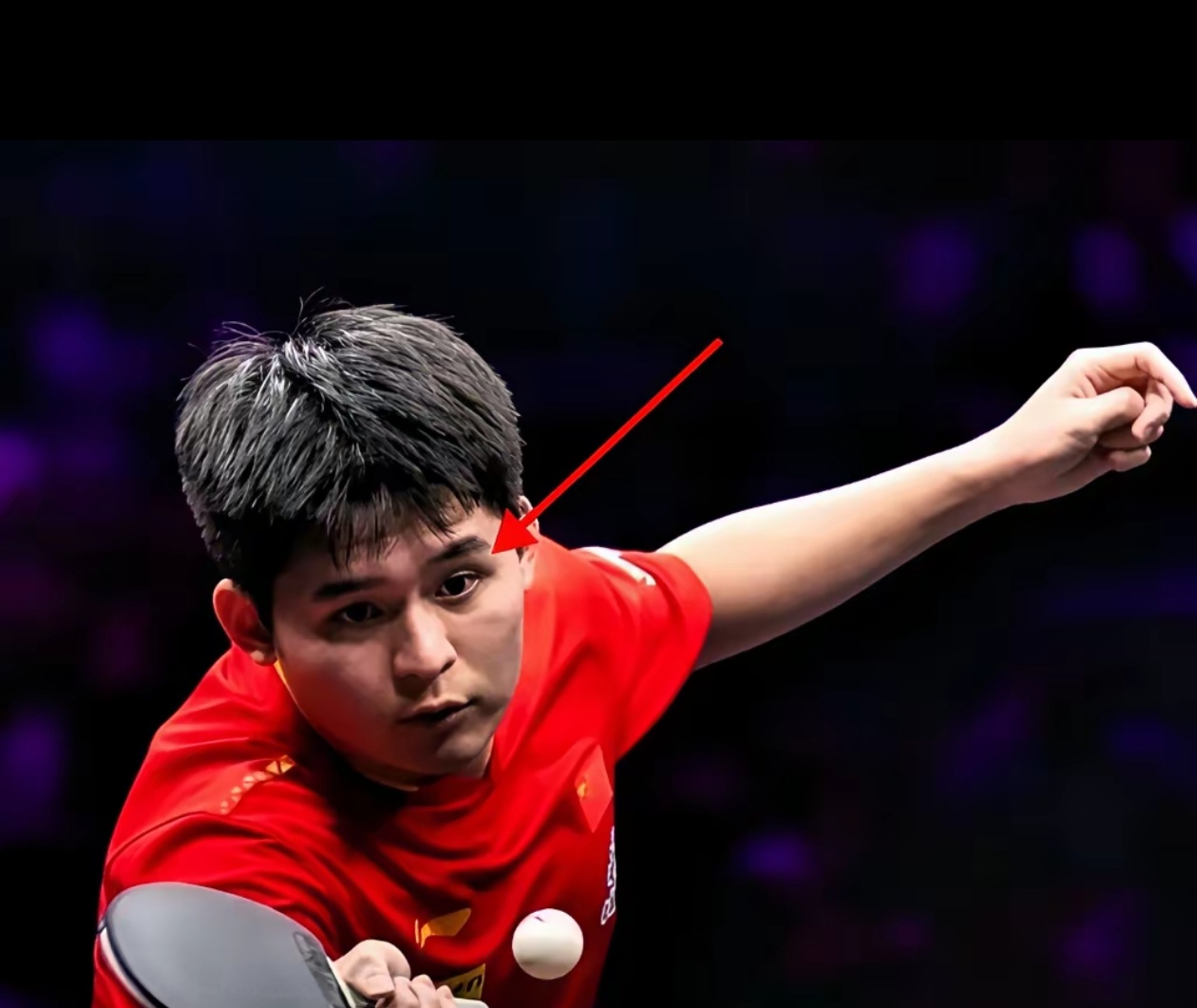 奥地利乒乓球队翻盘波兰乒乓球队,王皓高光表现的简单介绍 奥地利乒乓球队翻盘波兰乒乓球队,王皓高光表现的简单介绍