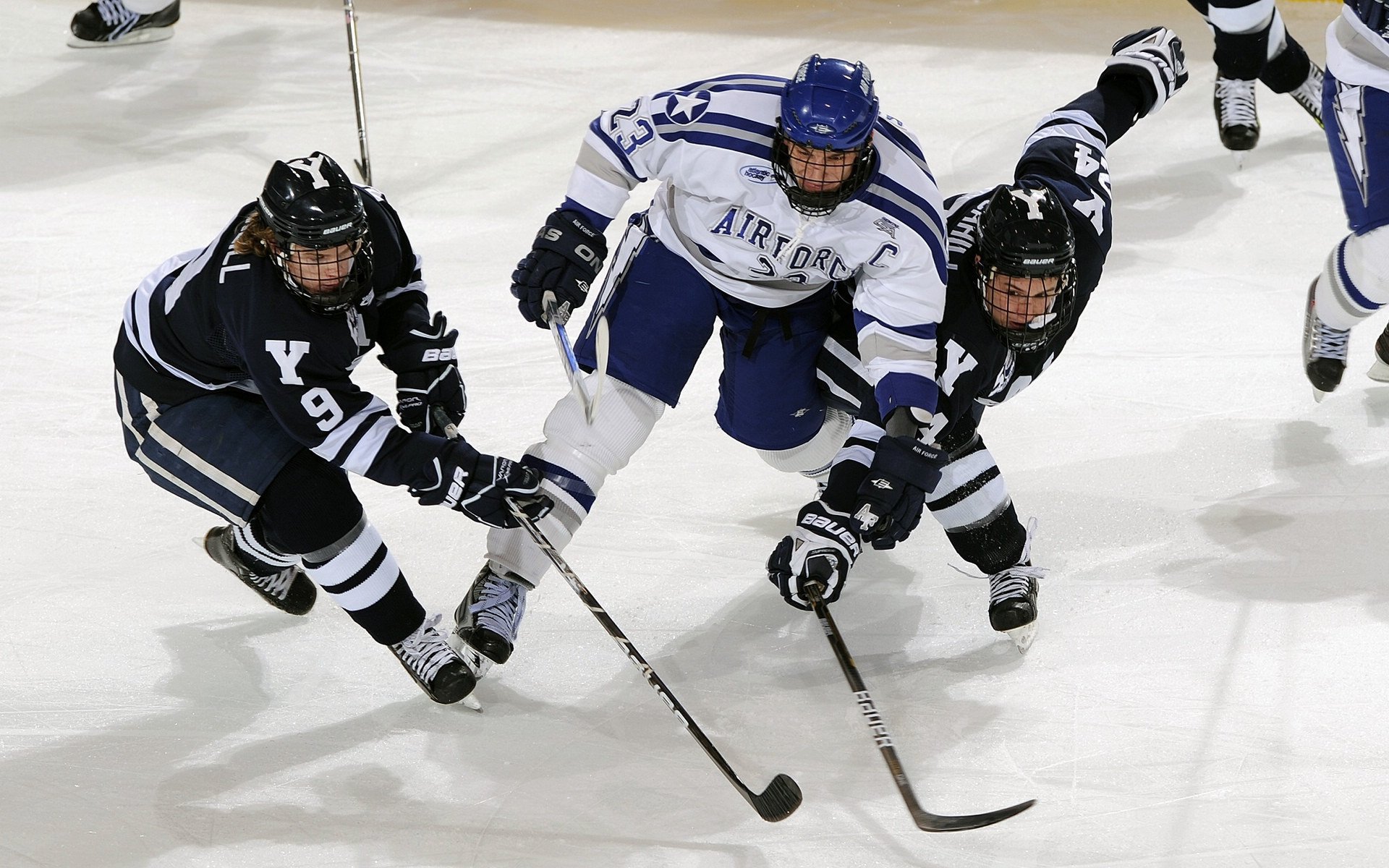 蜂鸣不息，拉梅洛·鲍尔如何用稳定重新定义黄蜂的狂想曲